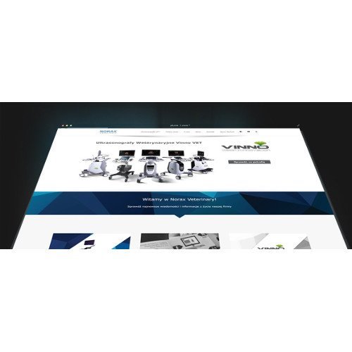 Nowe strony internetowe Norax Medical Image