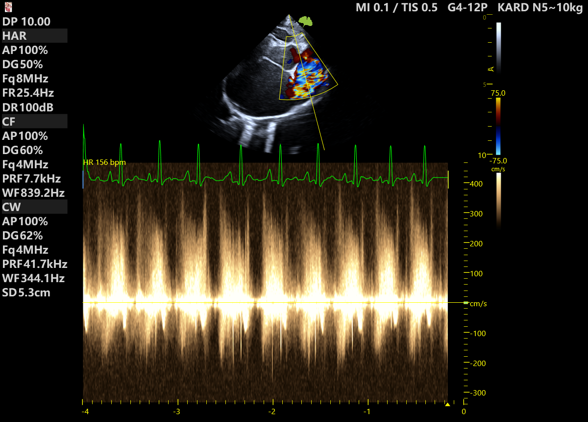 Case Studies Image