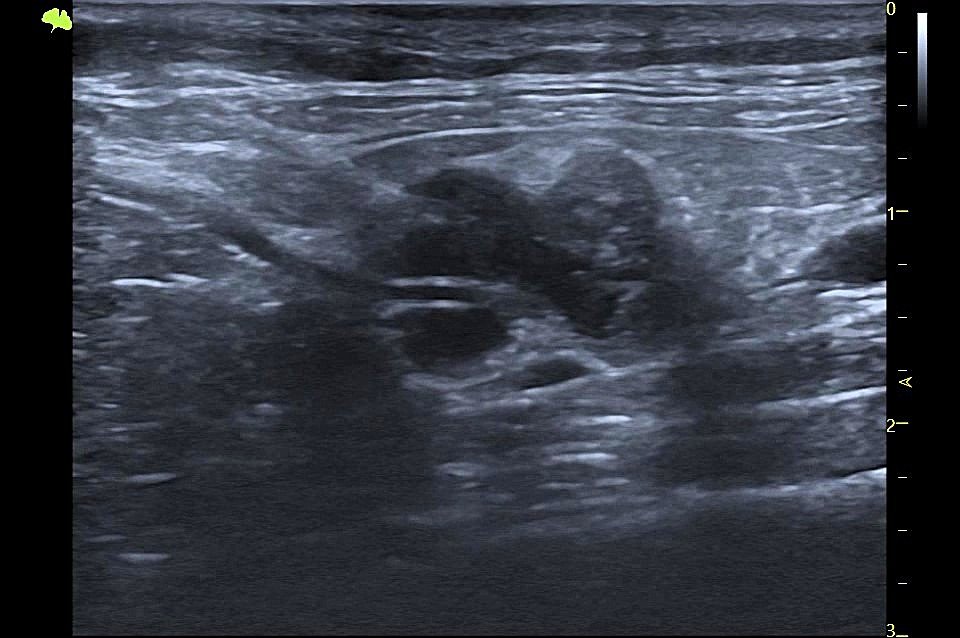 Case Studies Image
