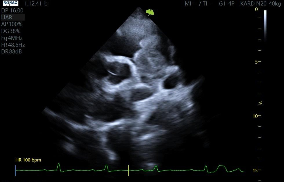 Case Studies Image