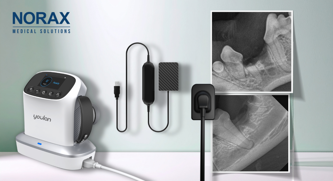 Dlaczego diagnostyka radiologiczna jest niezbędna w stomatologii psów i kotów? Image