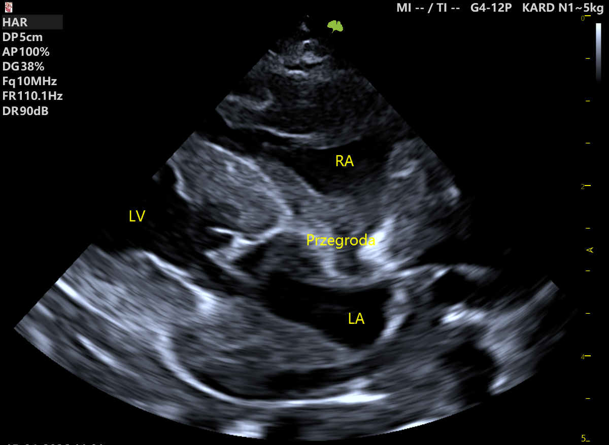 Case Studies Image