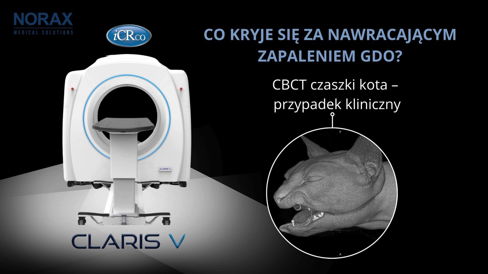 Case Studies Image